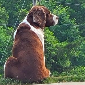 Meet your Posher, Elaine